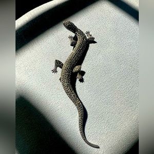 Vintage lizard broach